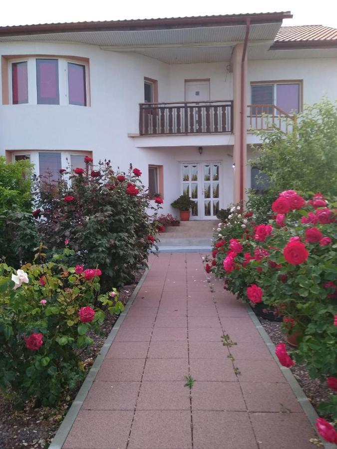 Casa Doina Hotel Douăzeci şi Trei August Eksteriør billede