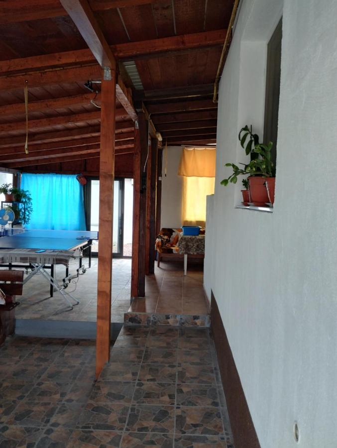 Casa Doina Hotel Douăzeci şi Trei August Eksteriør billede