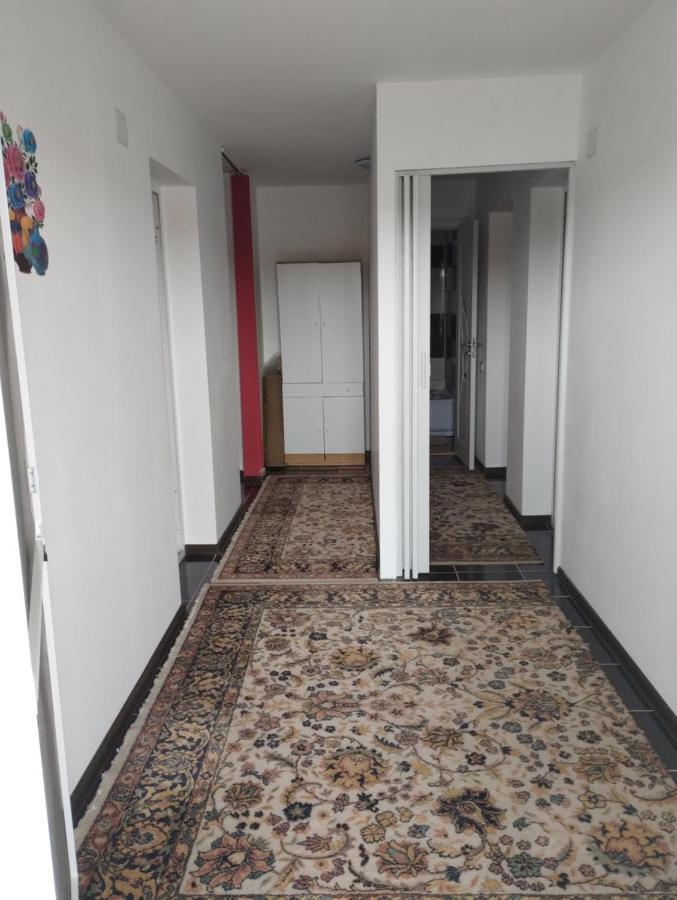 Casa Doina Hotel Douăzeci şi Trei August Eksteriør billede