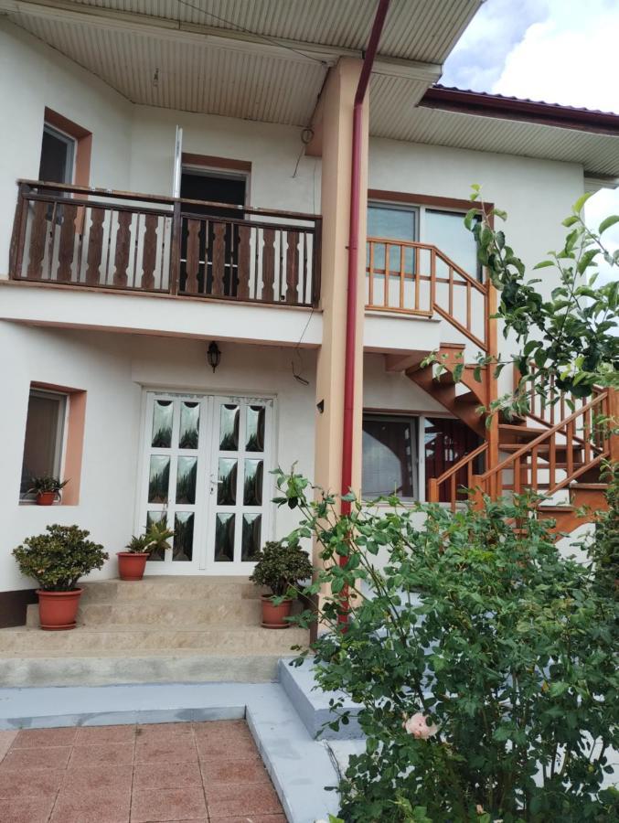Casa Doina Hotel Douăzeci şi Trei August Eksteriør billede