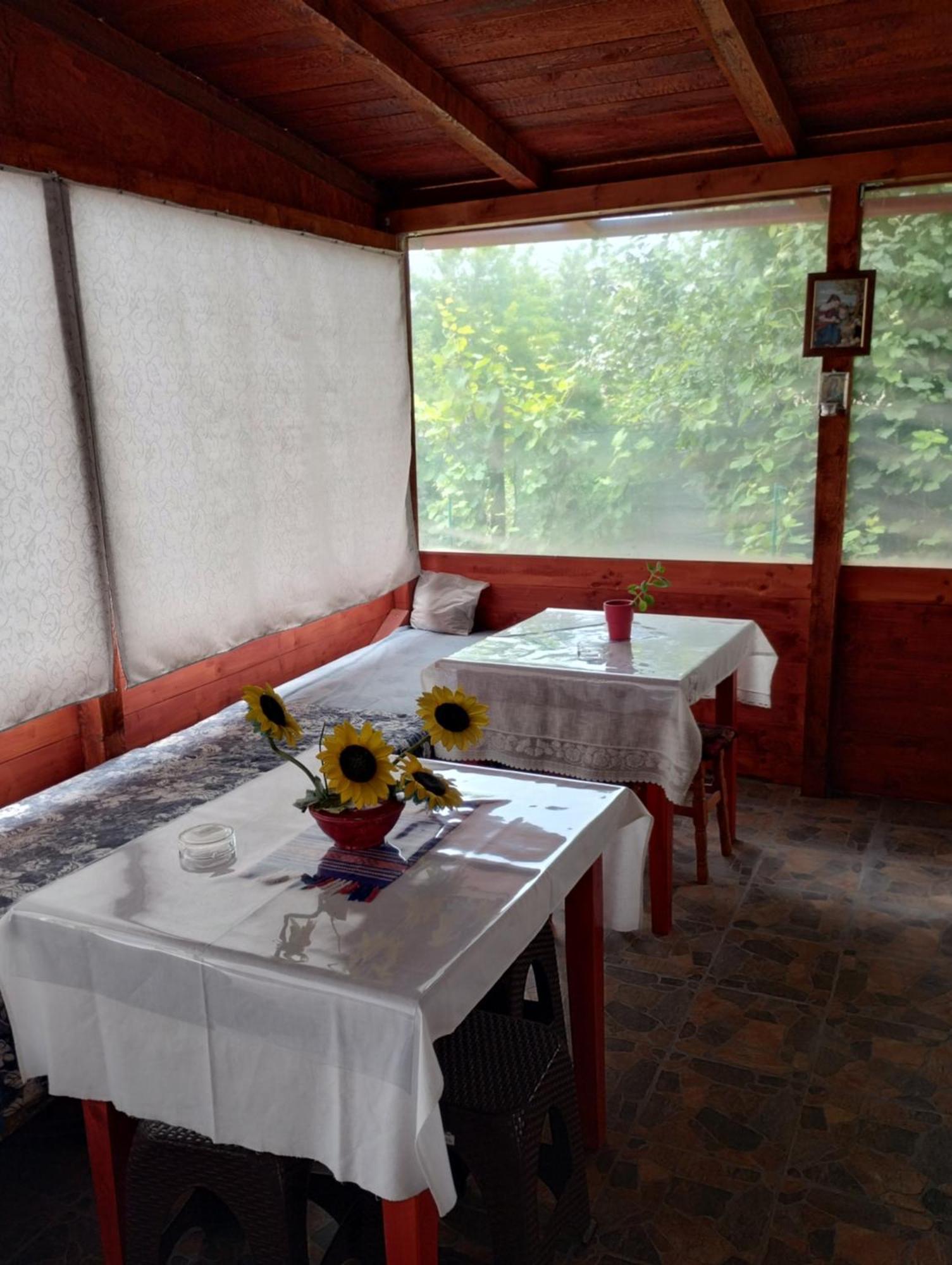 Casa Doina Hotel Douăzeci şi Trei August Eksteriør billede