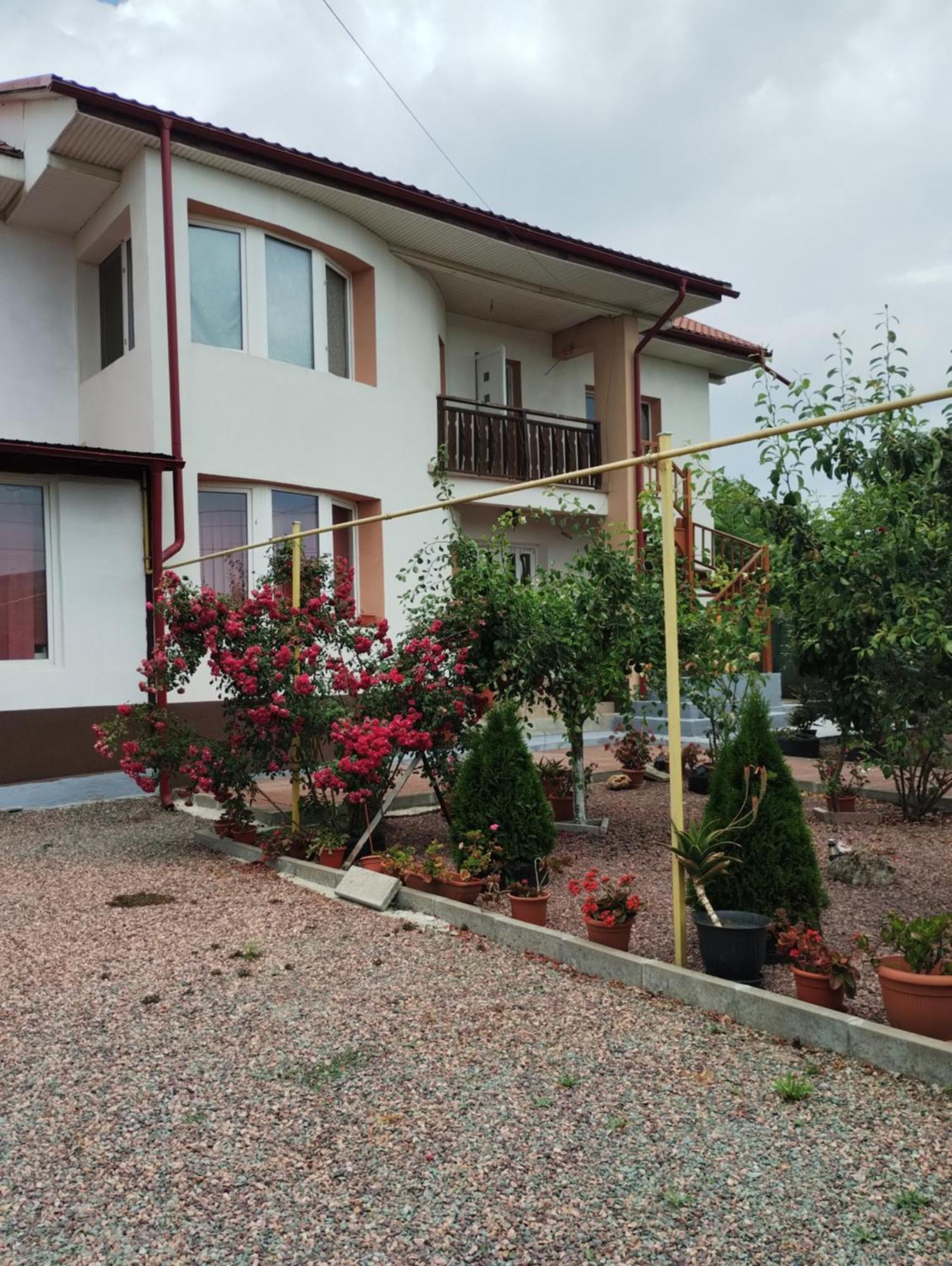 Casa Doina Hotel Douăzeci şi Trei August Eksteriør billede